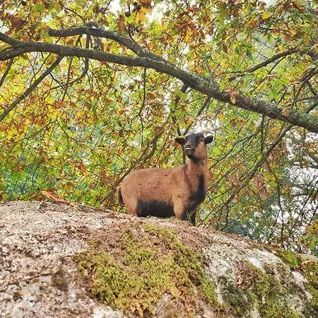 Alojamento de Acomodação e Pequeno-almoço Quinta Dos Corgos