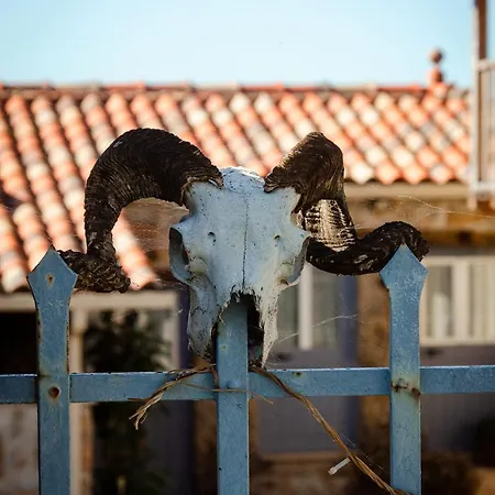 Quinta Dos Corgos Tábua