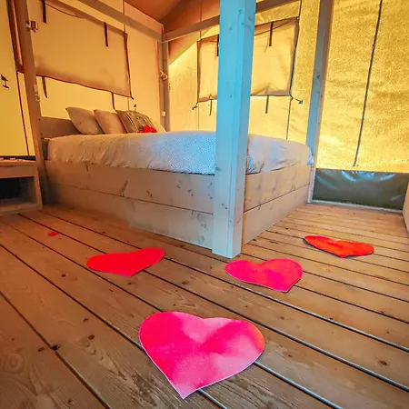 Quinta Dos Corgos Bed and Breakfast